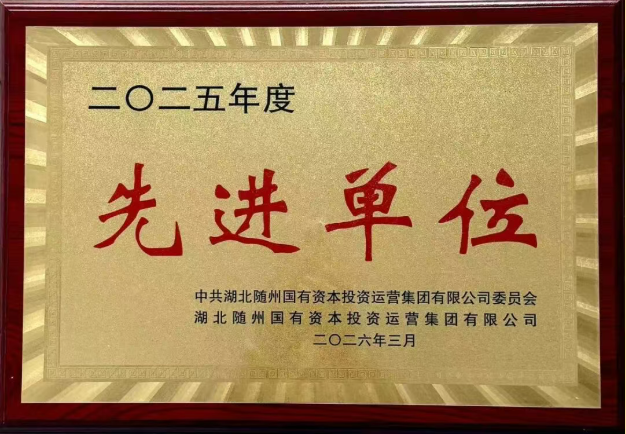 喜报！随州水务集团荣获随州国投集团2025年“先进单位”！